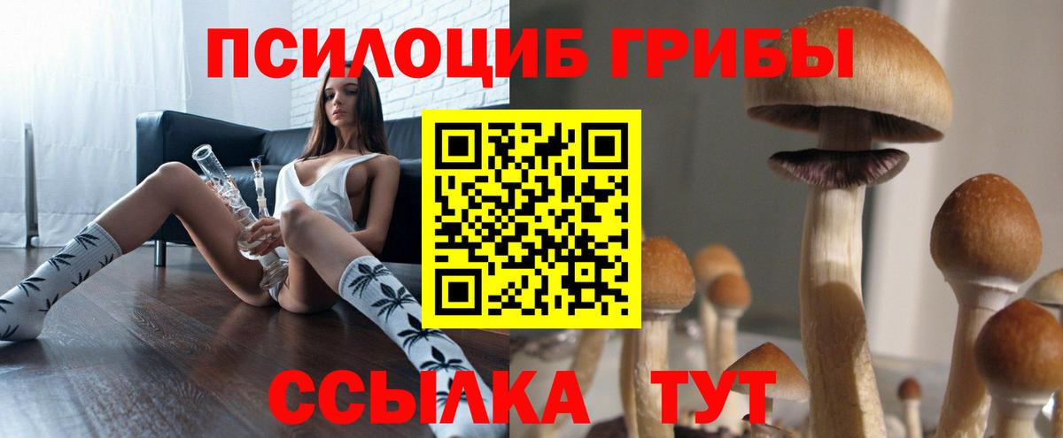 Галлюциногенные грибы Psilocybine cubensis Альметьевск